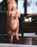 pic for Garfield Dance